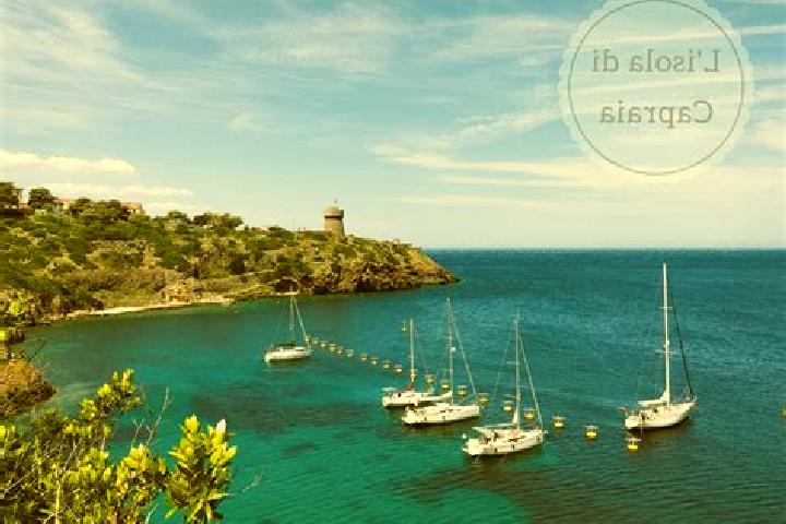 escort Capraia Isola