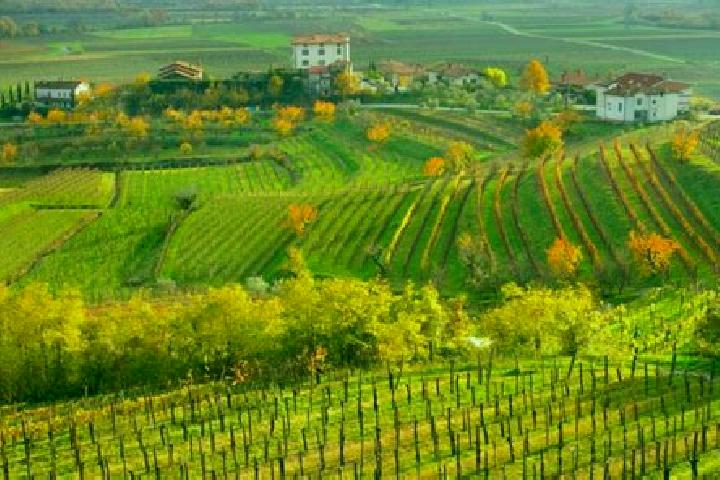 escort Capriva del Friuli