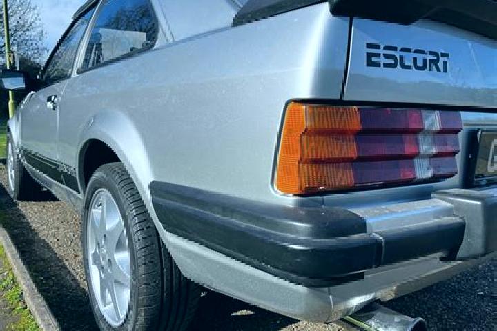 escort Carbunesti-Sat