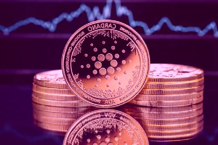 escort Cardano