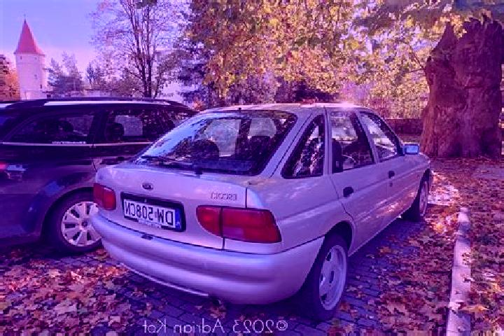 escort Caresana