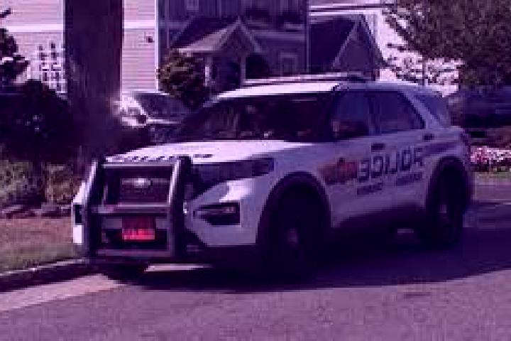 escort Carle Place
