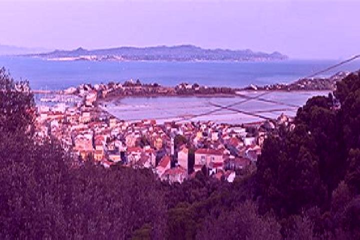 escort Carloforte