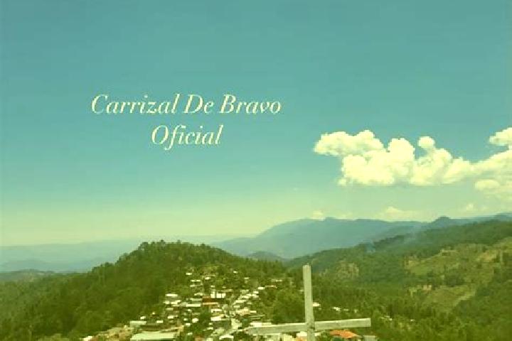 escort Carrizal de Bravo