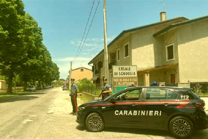 escort Casale di Scodosia