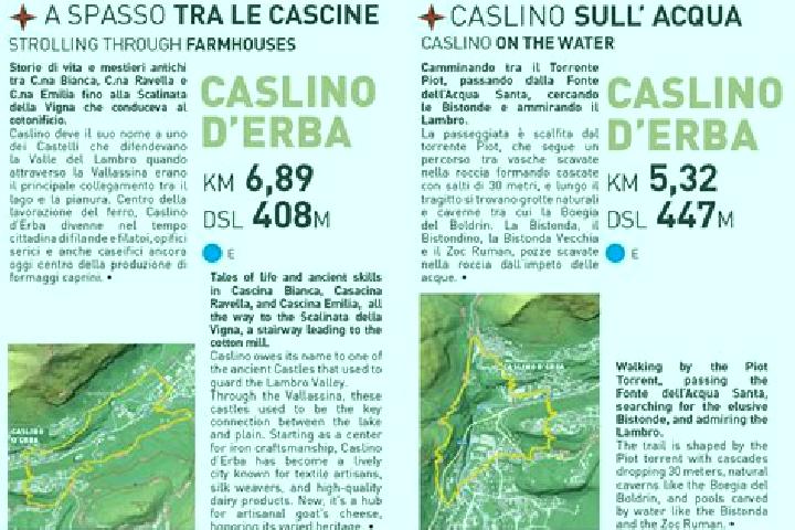 escort Caslino d Erba
