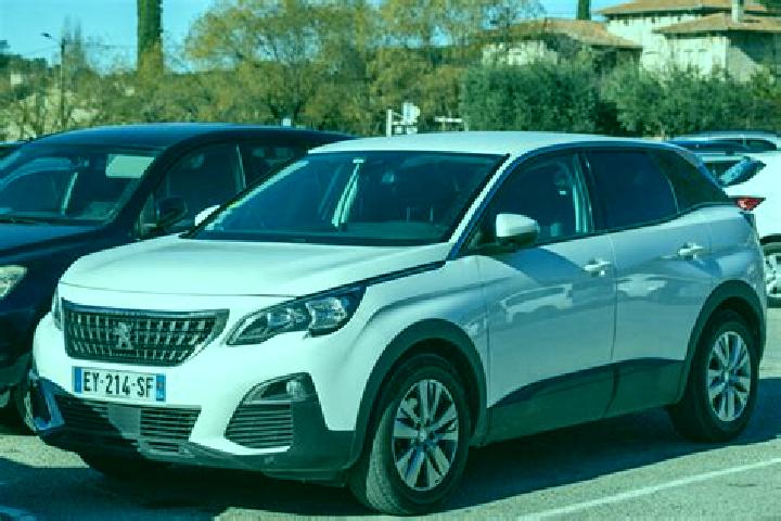 escort Castano Primo