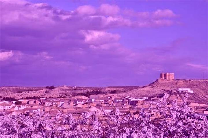 escort Castejon de Monegros