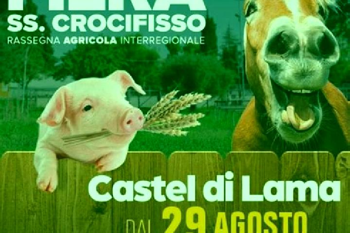 escort Castel di Lama