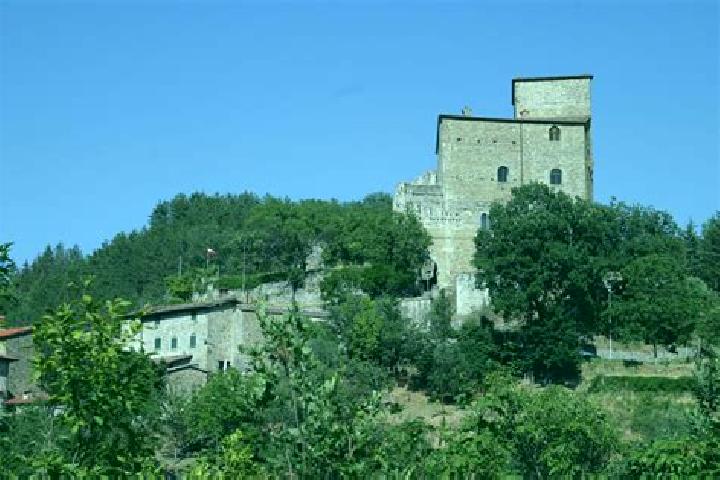 escort Castel San Niccolo