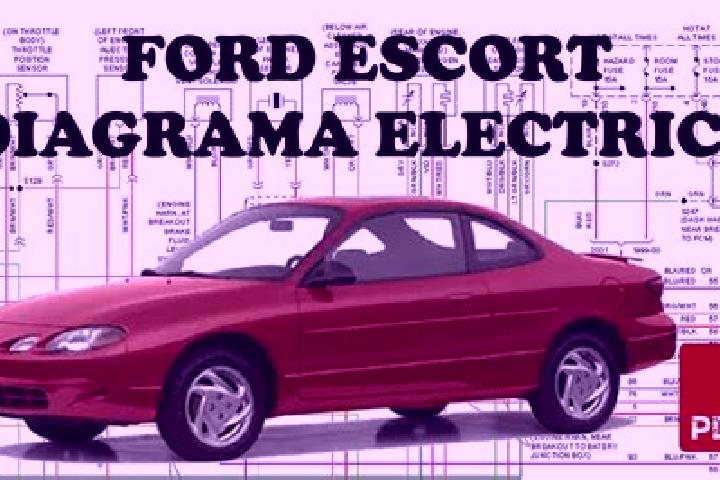 escort Castellano