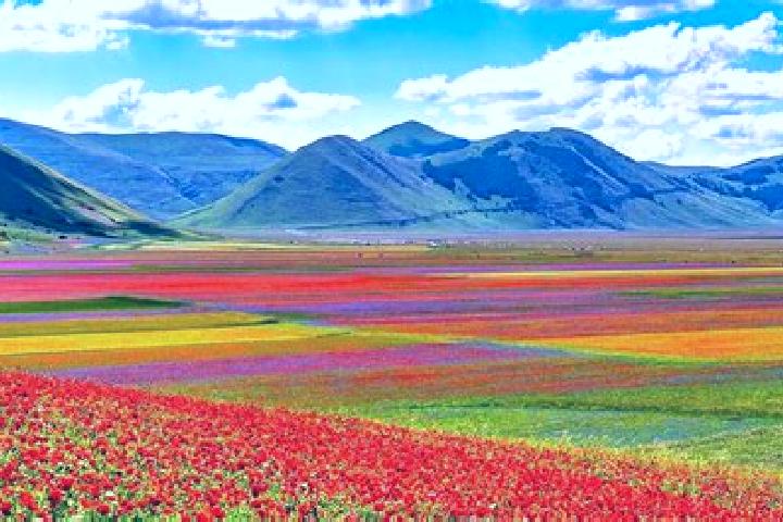 escort Castelluccio Superiore