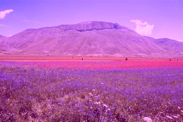 escort Castelluccio