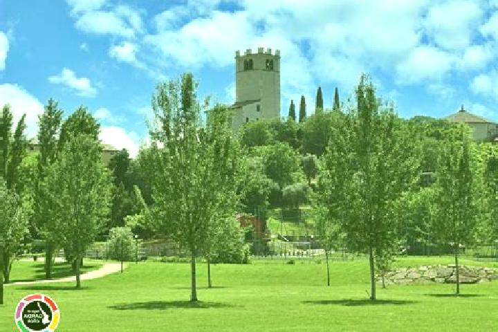 escort Castelnuovo del Garda