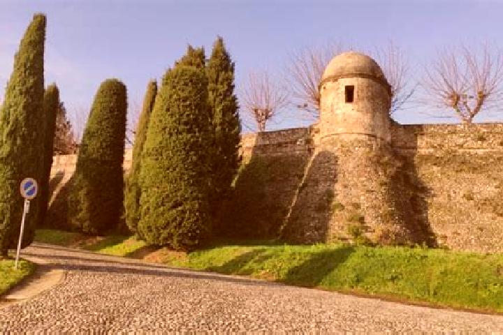escort Castiglione delle Stiviere