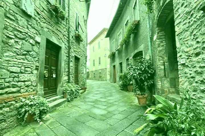 escort Castiglione di Garfagnana