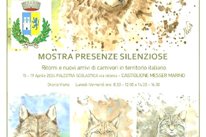 escort Castiglione Messer Marino