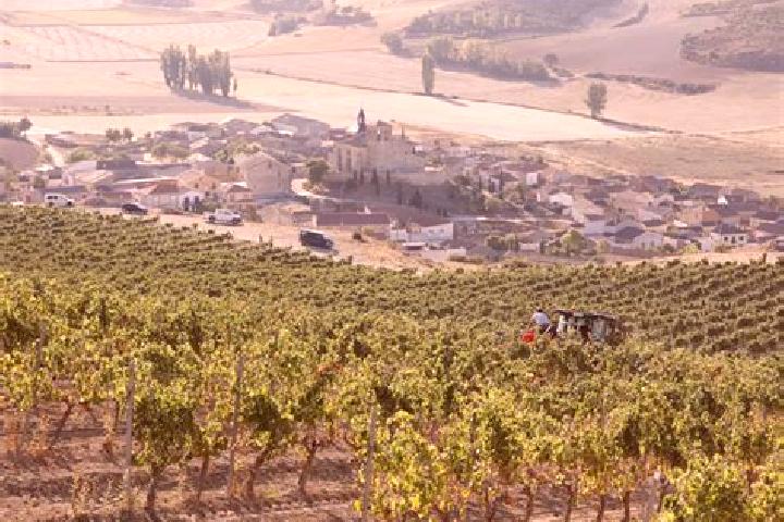 escort Castrillo de Duero