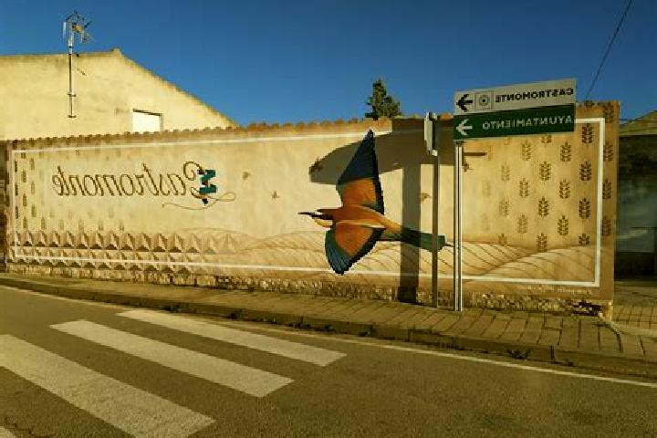 escort Castromonte