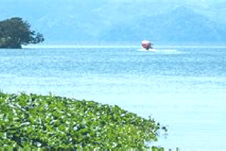 escort Catemaco
