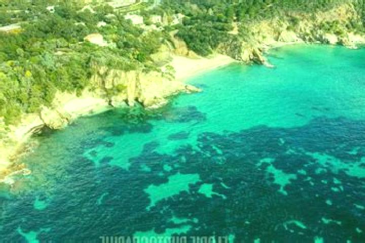 escort Cavalaire-sur-Mer