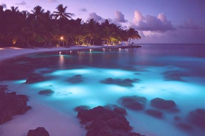 escort Cayman Islands