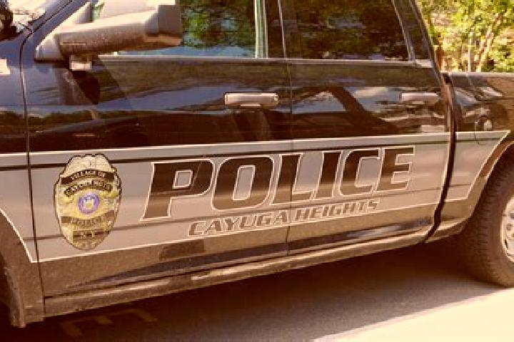 escort Cayuga Heights