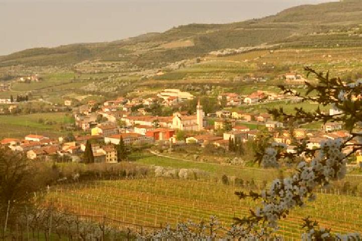 escort Cazzano di Tramigna