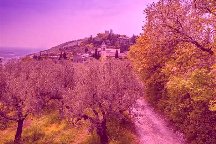 escort Cazzano Sant Andrea