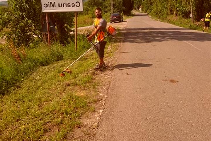escort Ceanu Mic