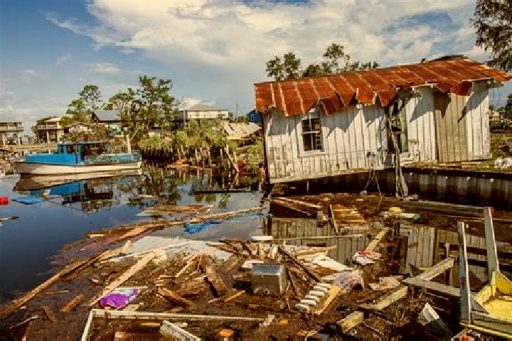 escort Cedar Key