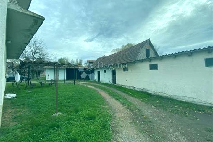 escort Cemernica