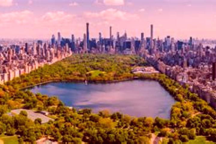 escort Central Park