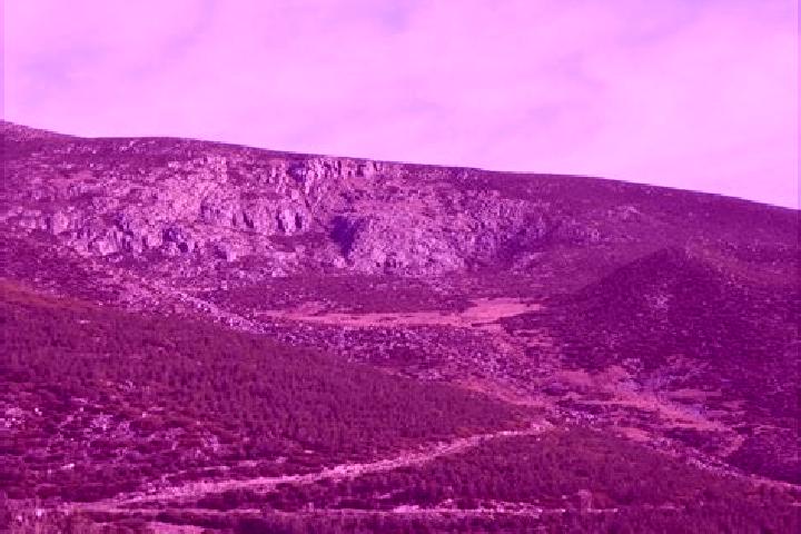escort Cepeda la Mora