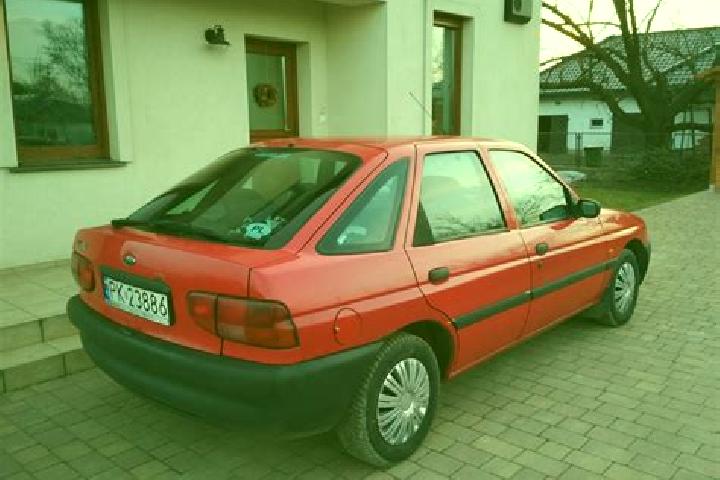 escort Cepni