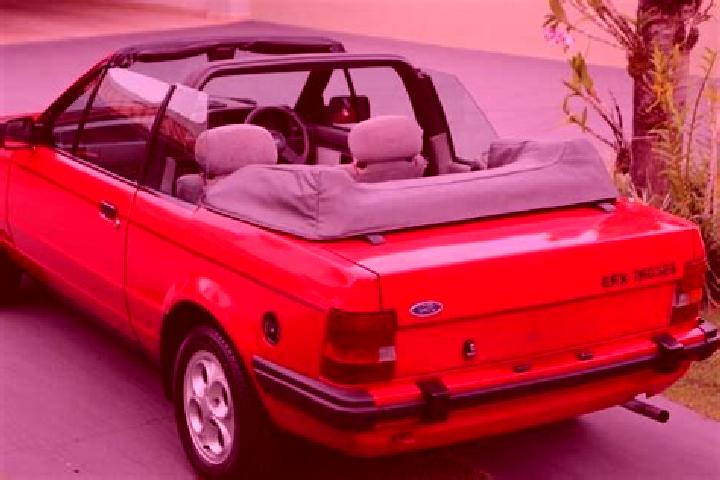 escort Cerezal