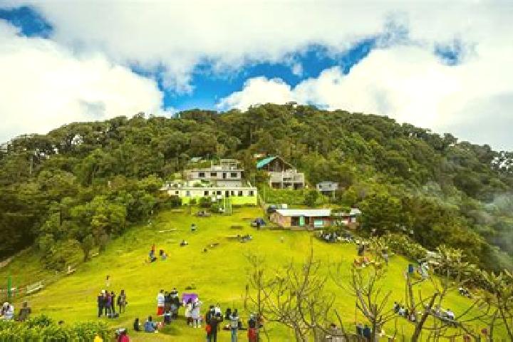 escort Cerro Alto