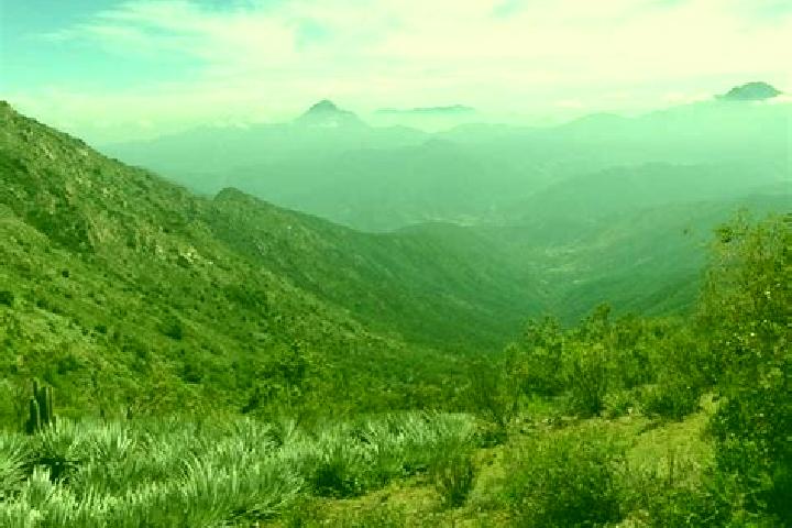 escort Cerro Campana