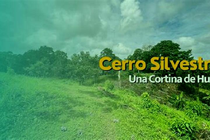 escort Cerro Silvestre