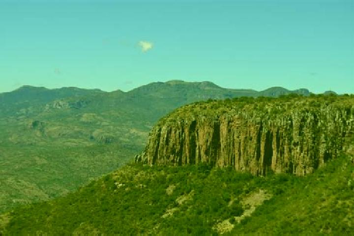escort Cerro Venado