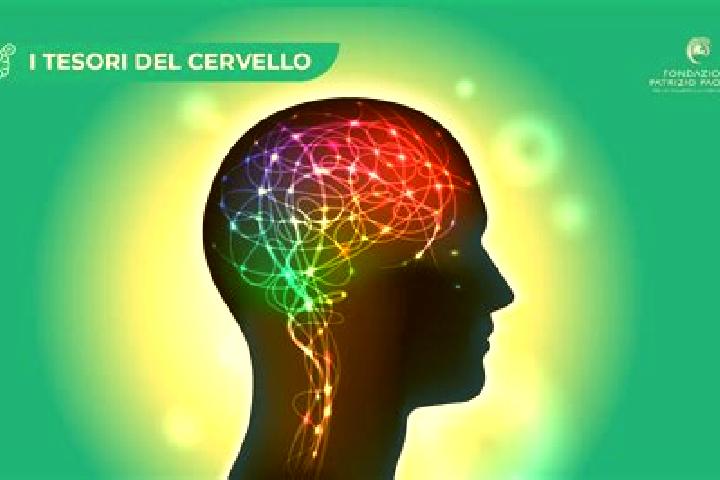 escort Cervello
