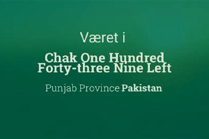 escort Chak One Hundred Forty-three Nine Left