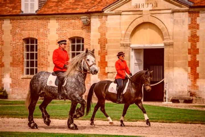 escort Chalautre-la-Grande