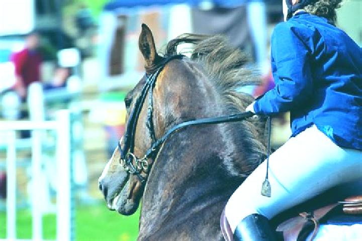 escort Chamarandes-Choignes