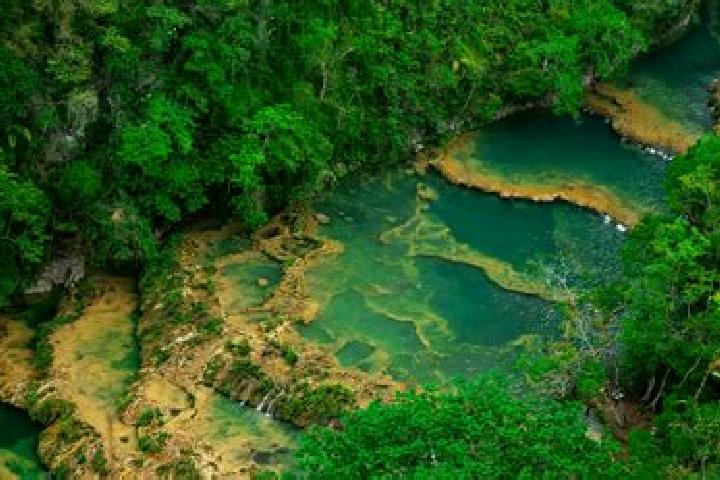 escort Champey