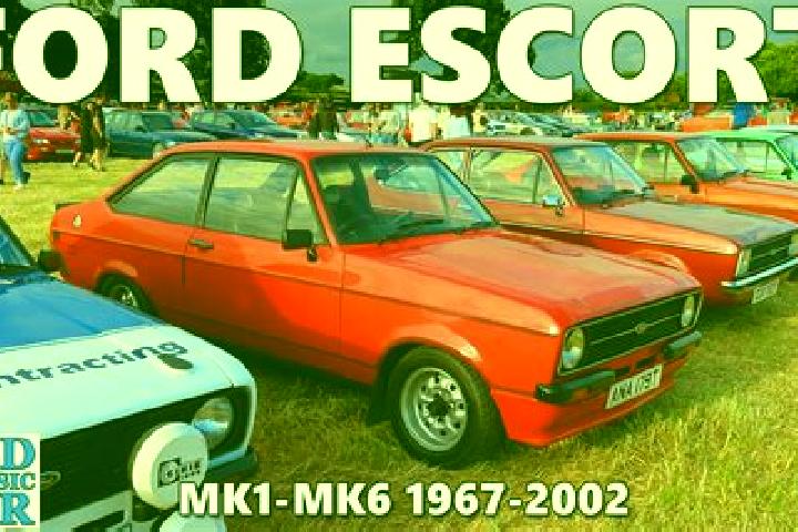 escort Charles Village