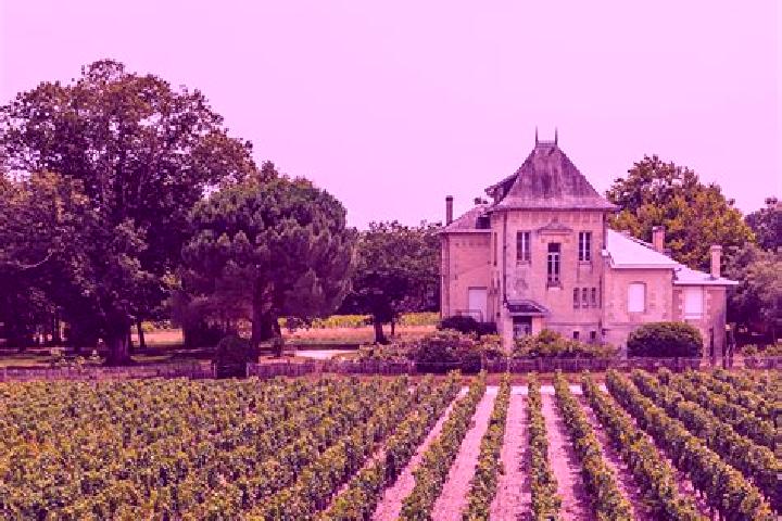 escort Chateau-Salins