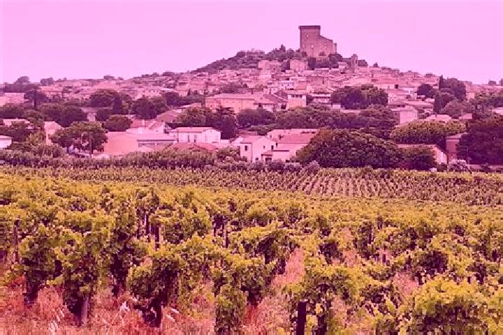 escort Chateauneuf-du-Pape