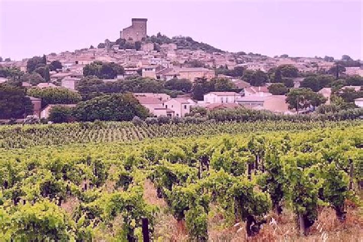 escort Chateauneuf-du-Rhone