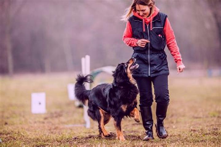 escort Chatel-Saint-Germain